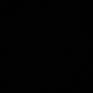 Meet your Posher, Ricky